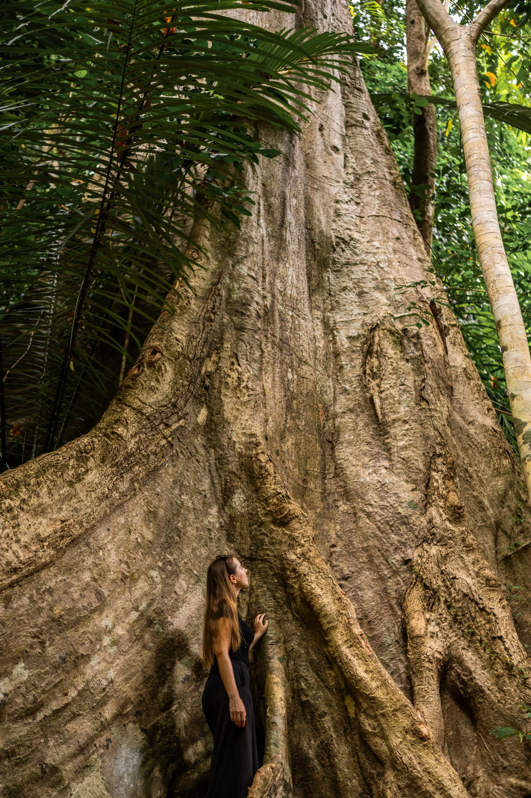 Vanessa Mosch am Vanessa am "000 Year Old Tree auf Koh Lanta.