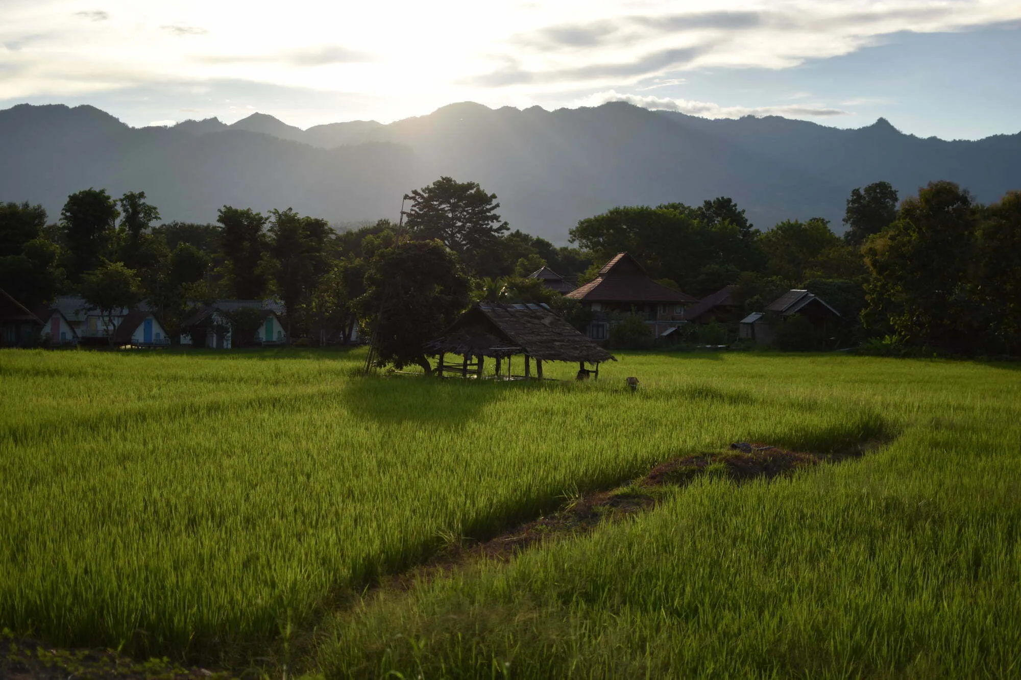 rundreise thailand vietnam kambodscha