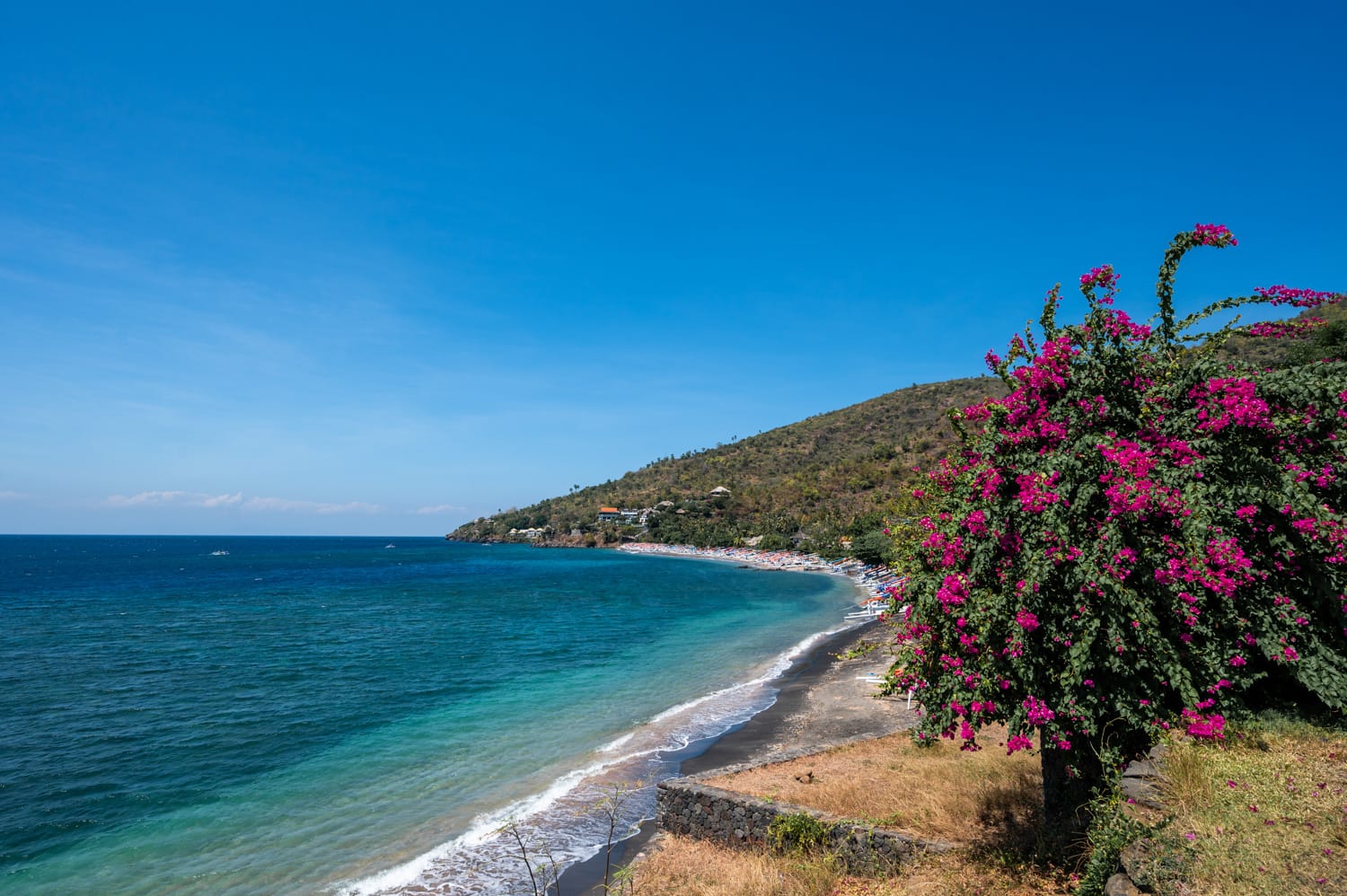Frangipani entlang der Küstenstraße von Amed