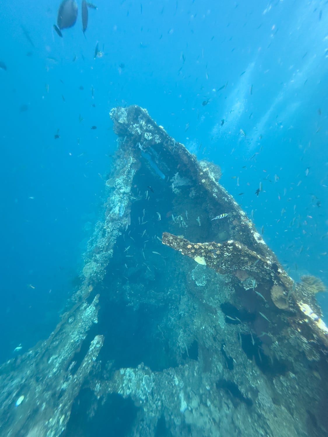 Wrack der USAT Liberty in Amed auf Bali
