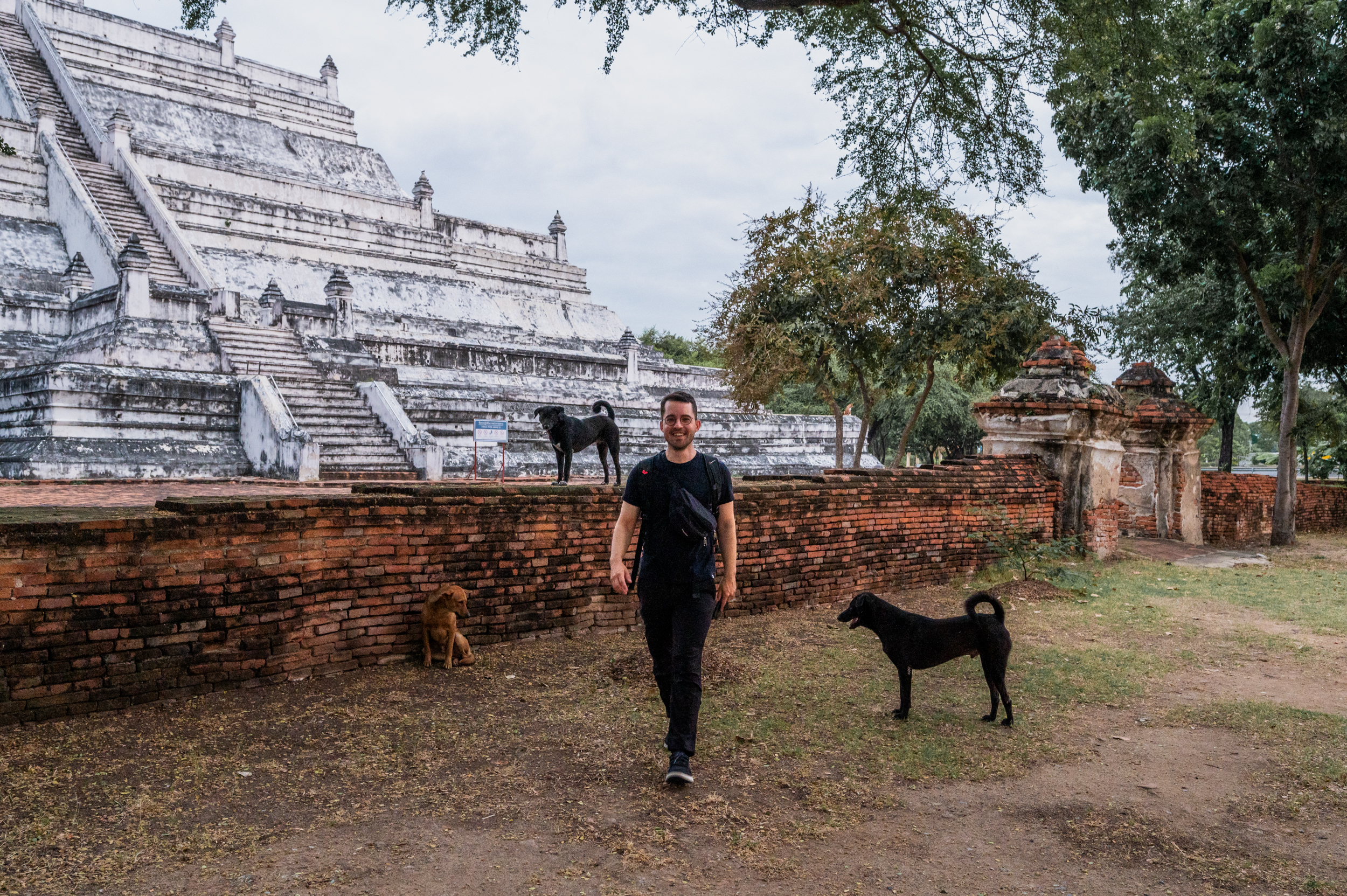 Ayutthaya (25) alex mit hunden zum sonnenaufgang am Wat Phu Khao Thong