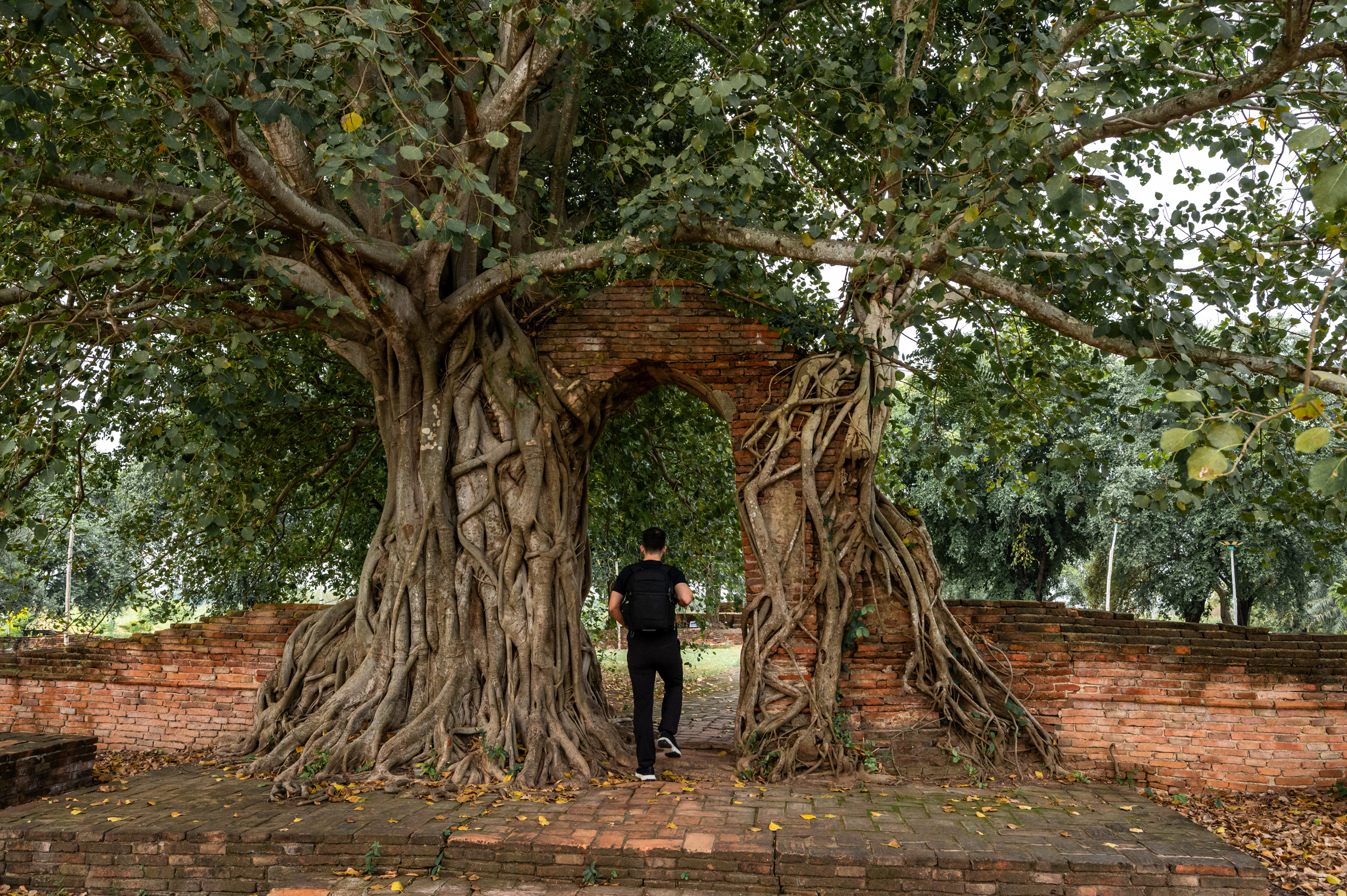 Ayutthaya (26) alex im Wat Phra Ngam (Portal of Time)