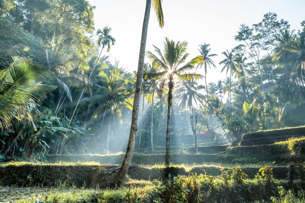 Bali Rundreise 2 Wochen: Perfekte Reiseroute für 2 Wochen Bali (+ Karte)