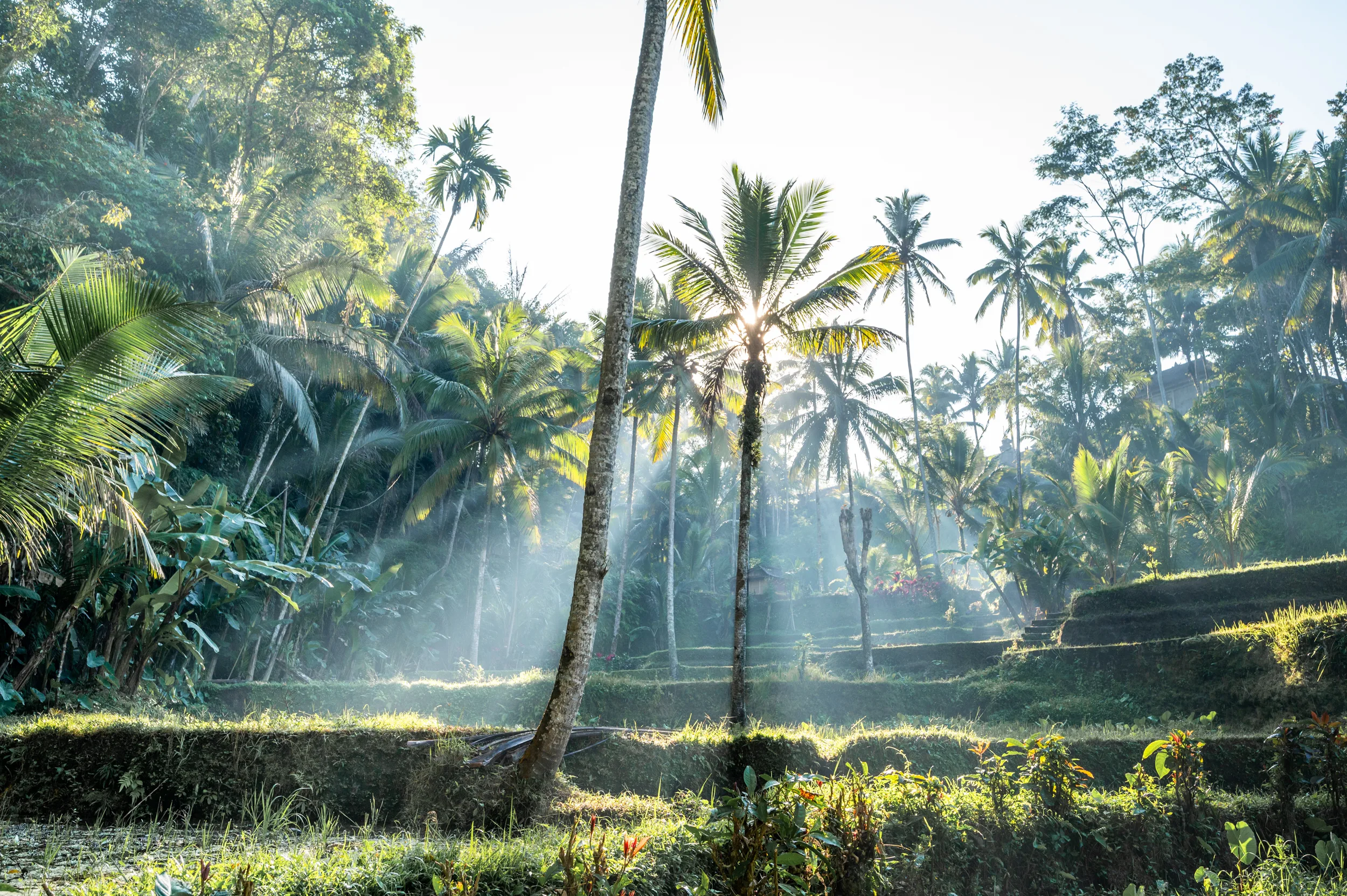 Bali Rundreise 2 Wochen