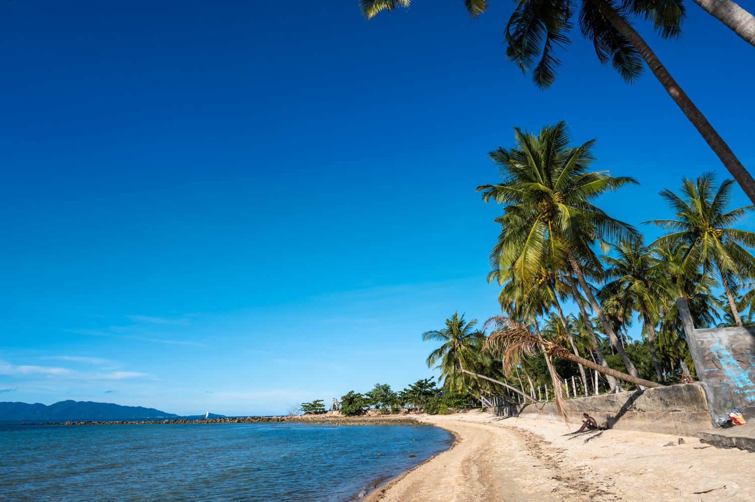 Ban Tai Beach Palmen Ban Tai Beach auf Koh Samui bei mittlerer Tide und Sonnenschein