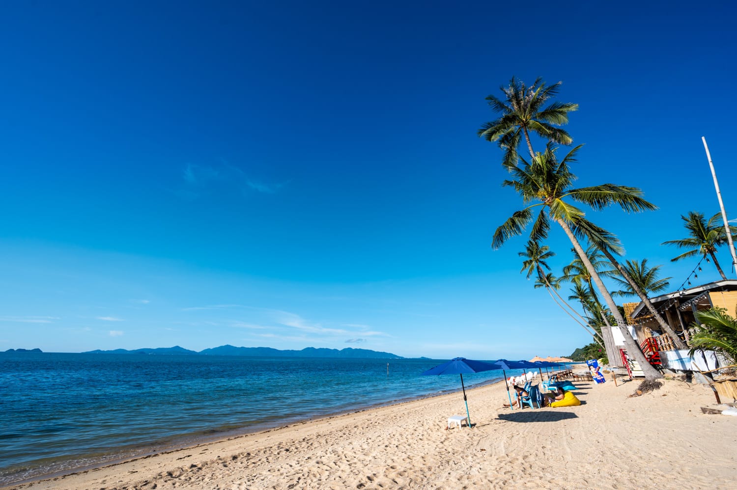 Bang Po Beach (2) Palmen am mittleren Abschnitt des Bang Po Beach auf Koh Samui