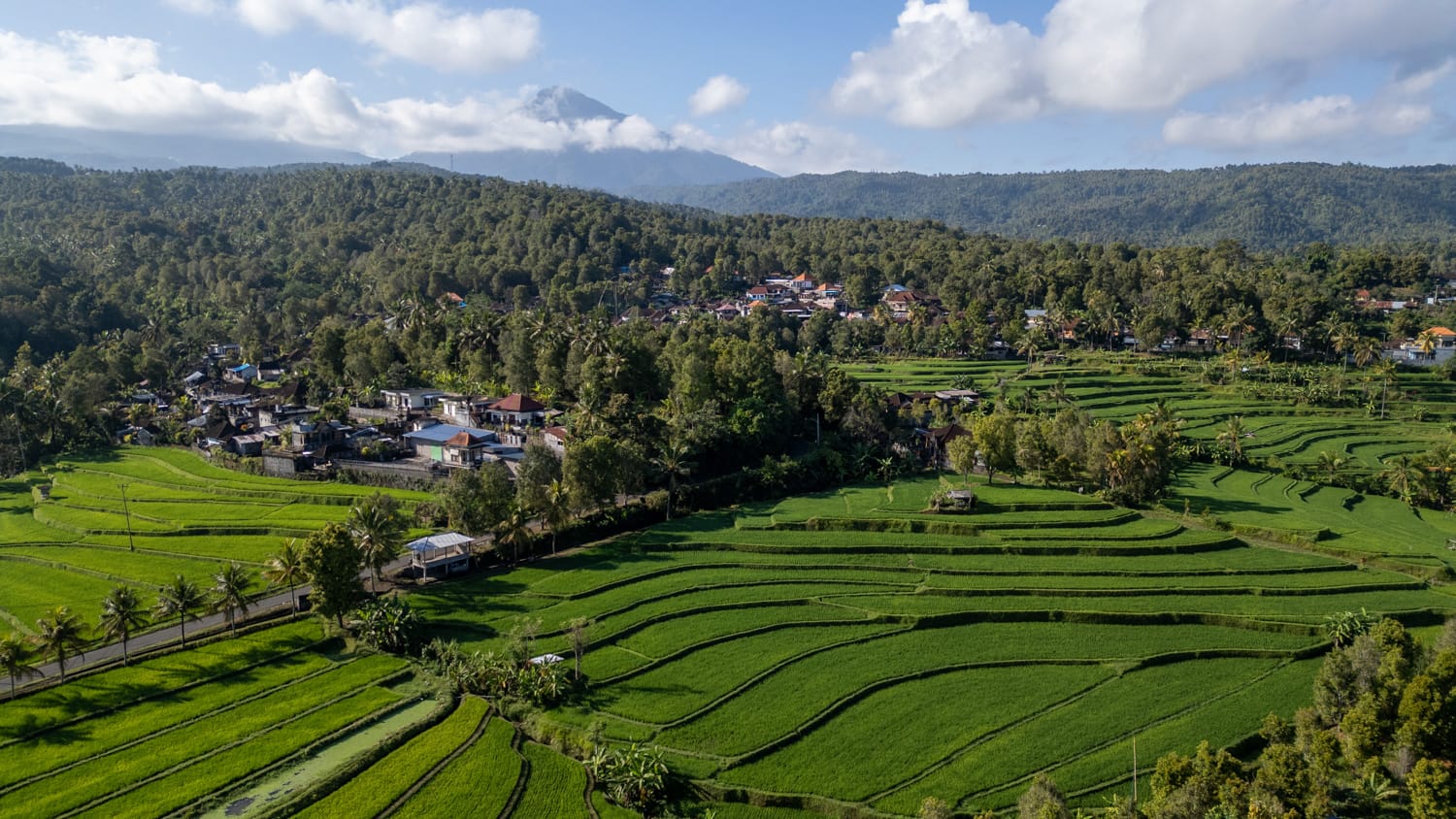 Bengkel Reisfelder in Munduk auf Bali