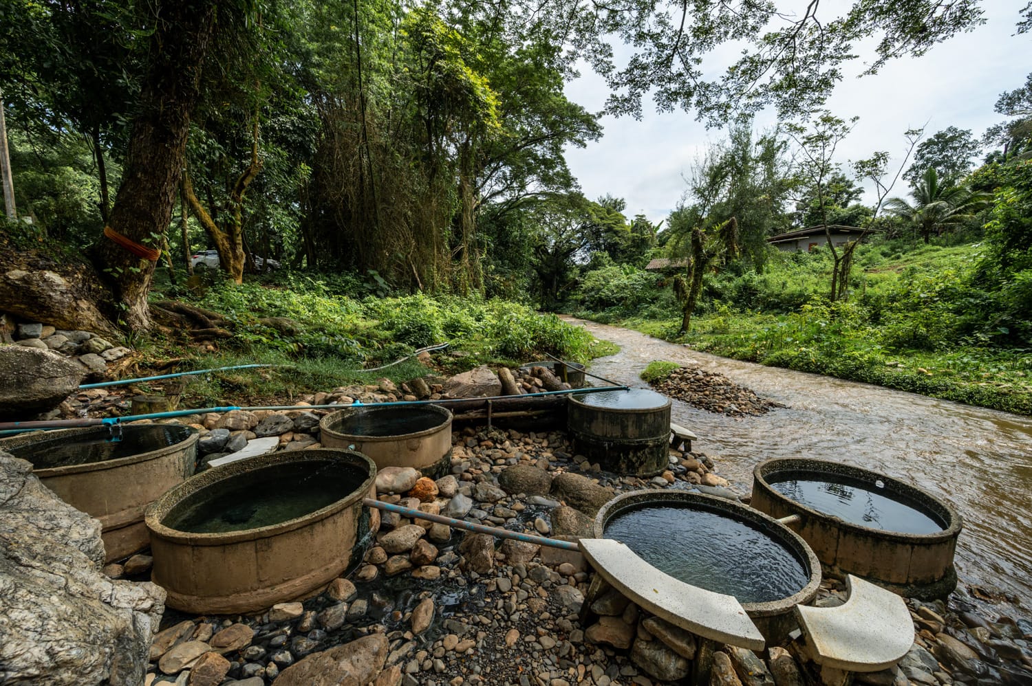 Becken in den Chiang Dao Hot Springs am Bach