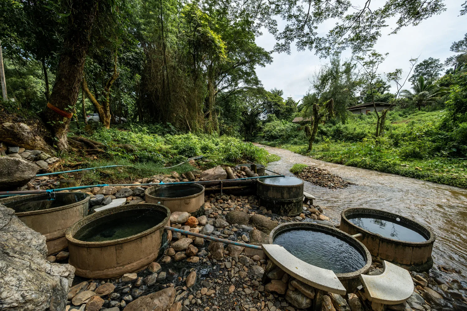 Becken in den Chiang Dao Hot Springs am Bach