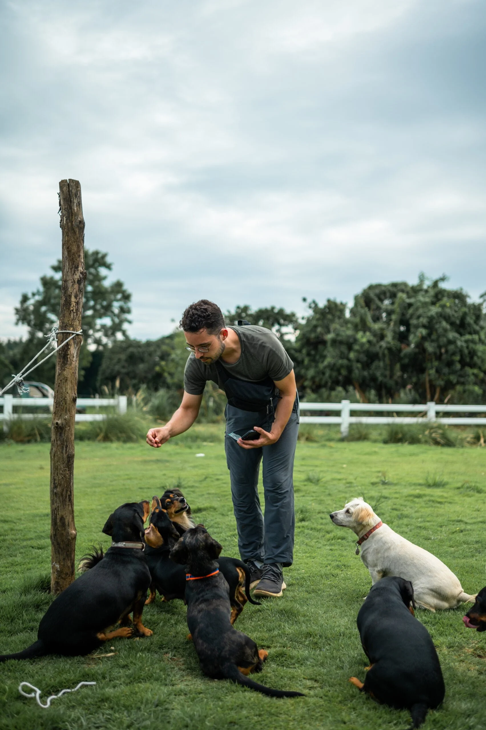 Nils Alexander Kemna füttert Hunde im Elely Café auf dem Mae Hong Son Loop