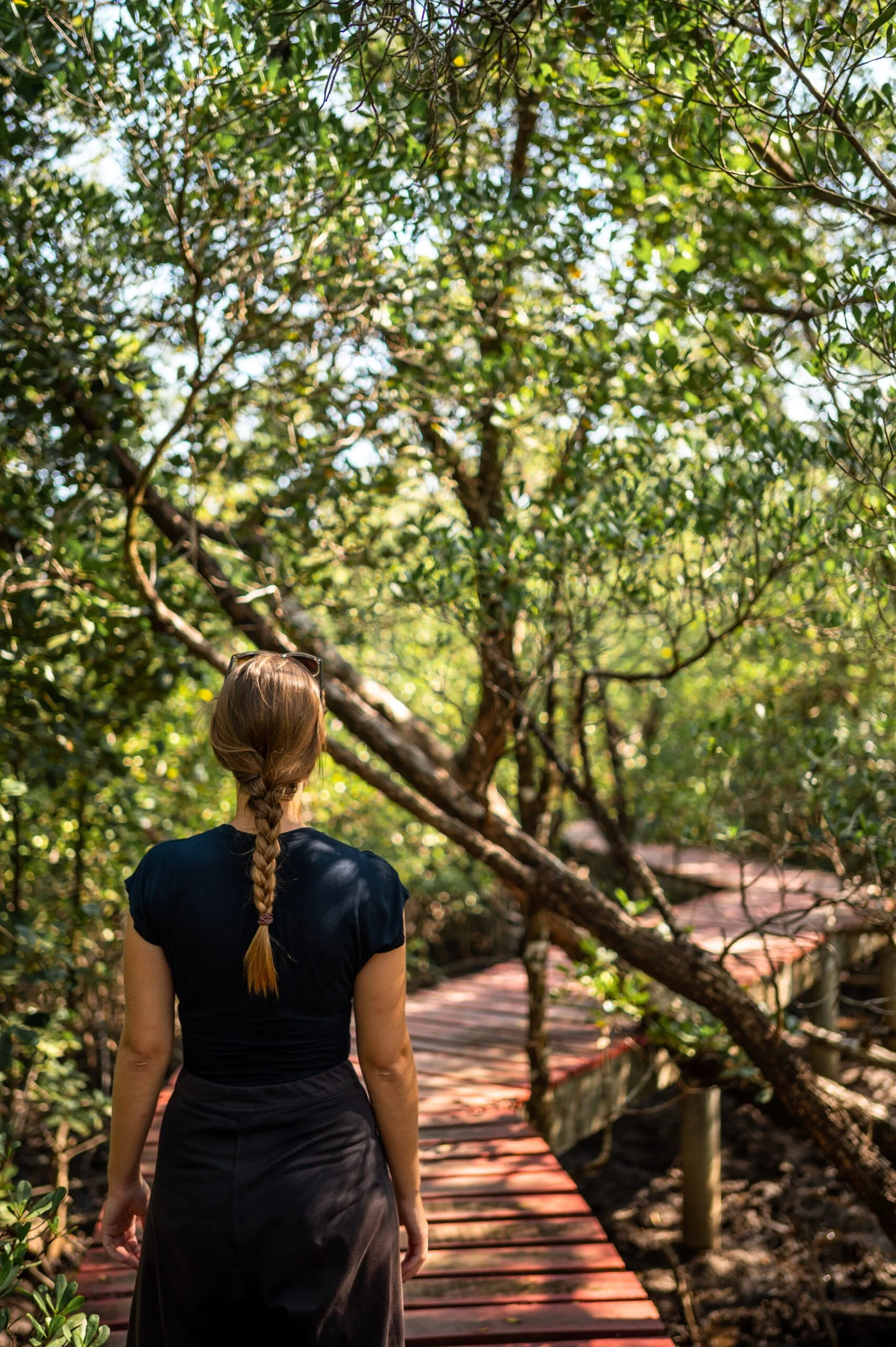 Vanessa auf Koh Chang Mangroven thailand inseln