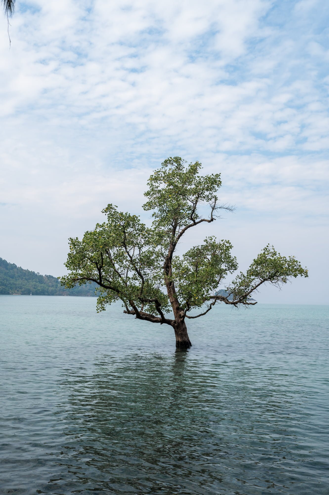 DSC-11671 koh chang