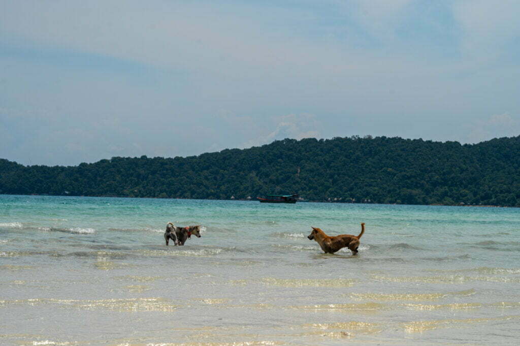 koh rong samloem