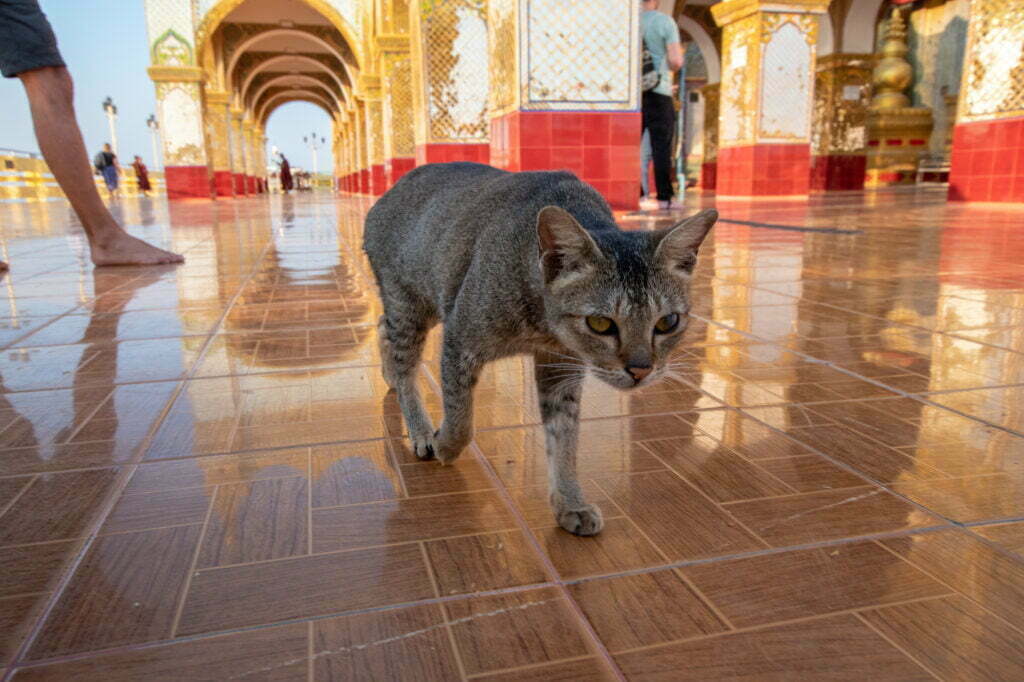 mandalay