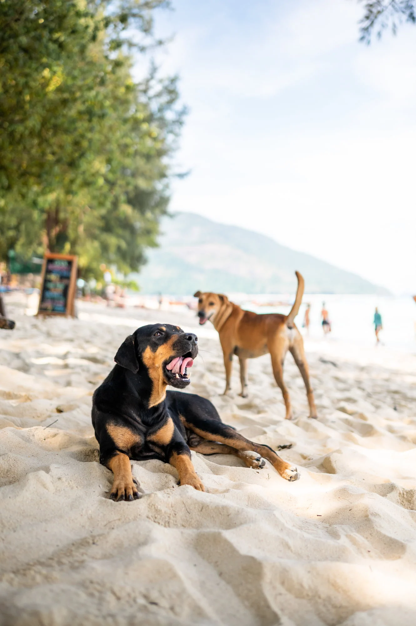 koh lipe