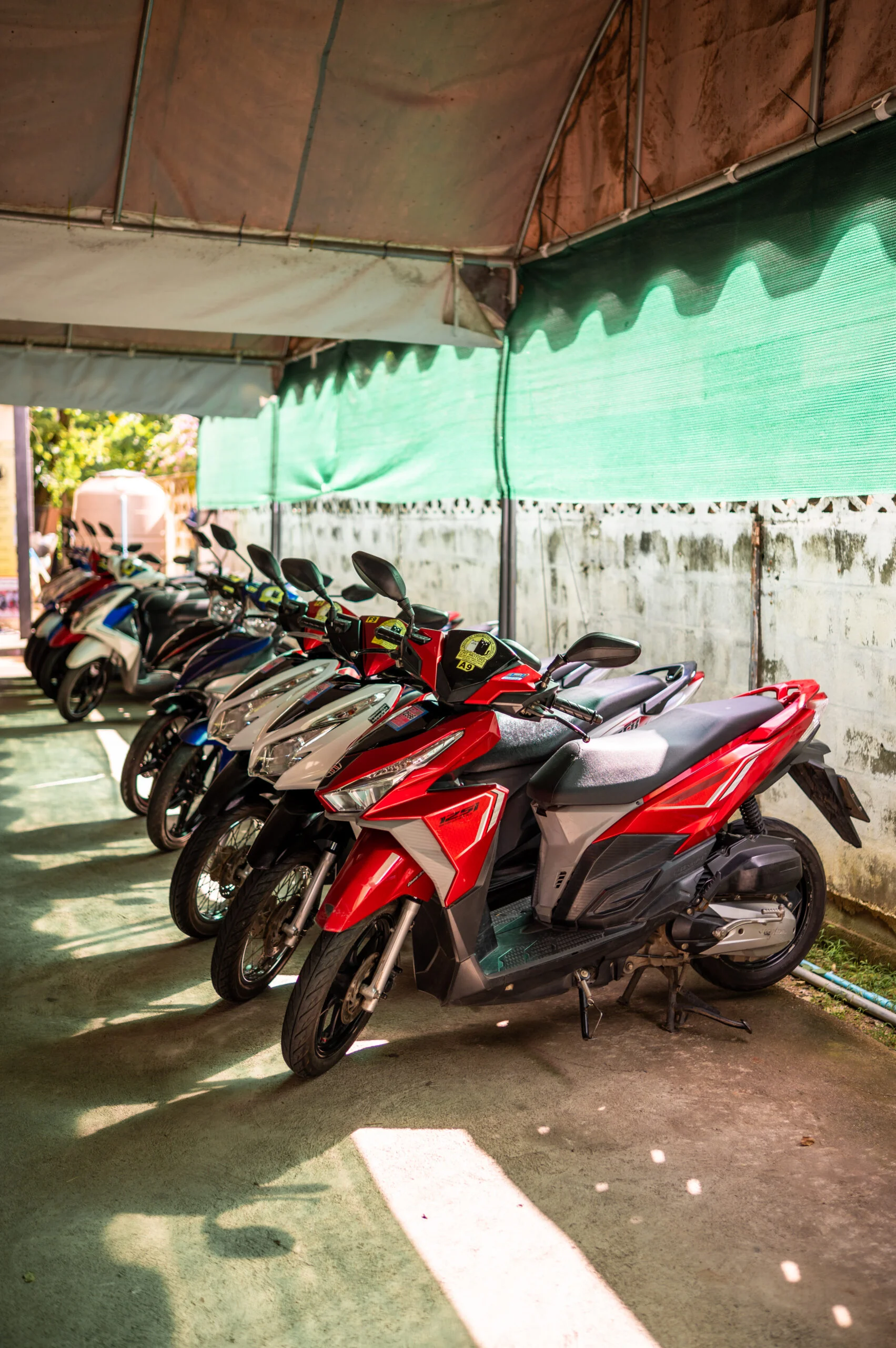 Roller bei Cat Motors in Chiang Mai