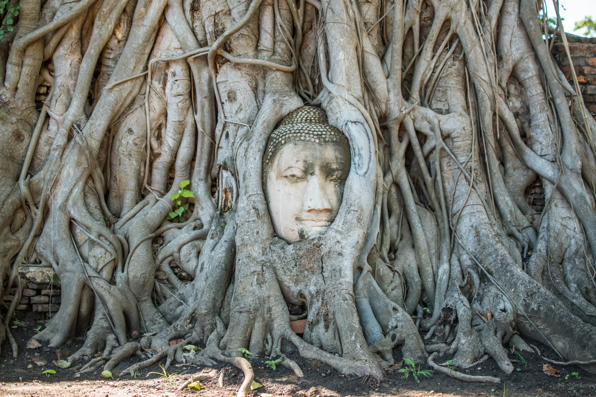 DSC_0594 Rundreise Thailand 2 Wochen