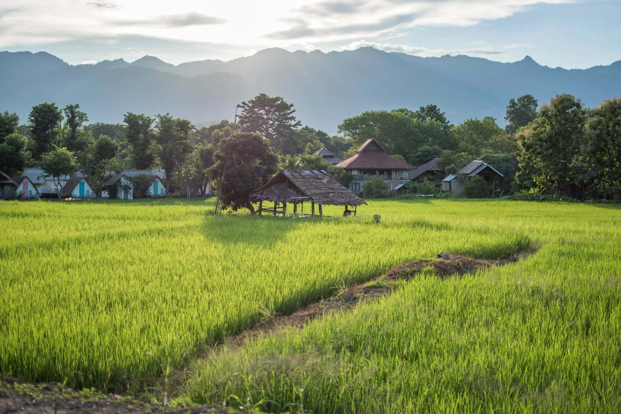 DSC_0725 thailand rundreise 3 wochen