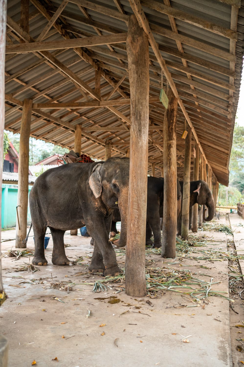 koh chang