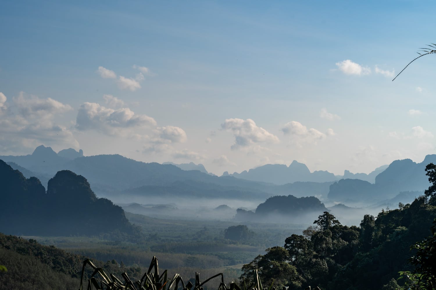 Ausblick auf die Kalksteinberge im Khao Sok Nationalpark auf einer Tour von Khao Lak zum Nationalpark