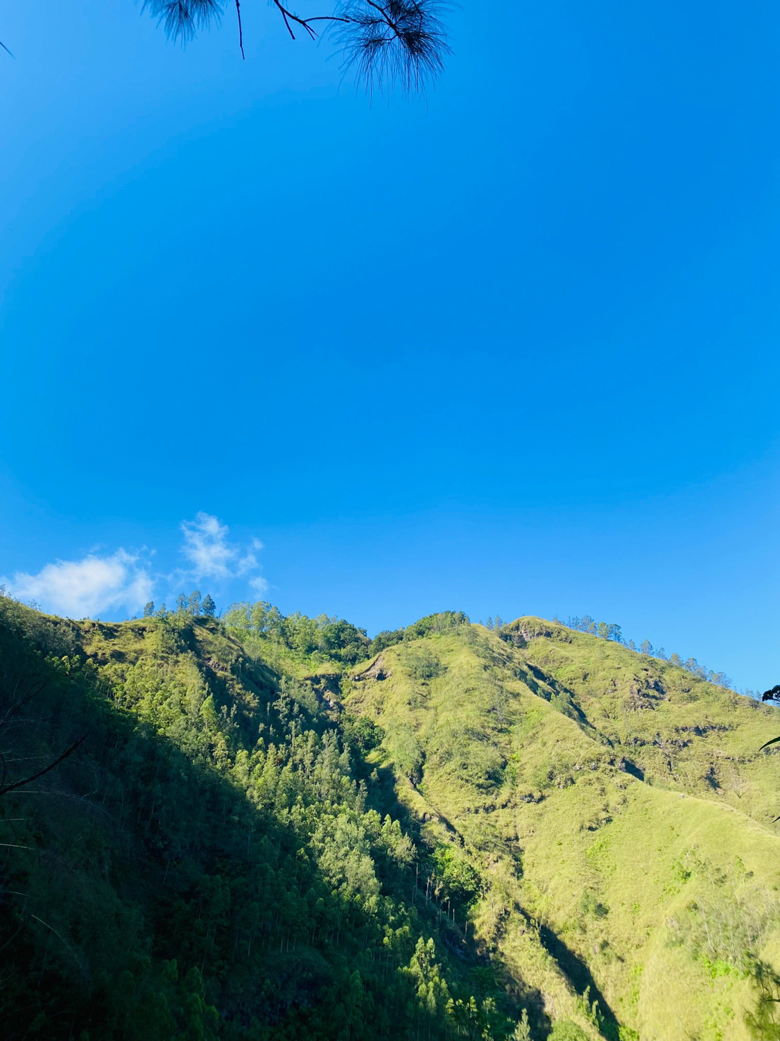 Kintamani Bali (22) Der grün bewachsene Trunyan Hill