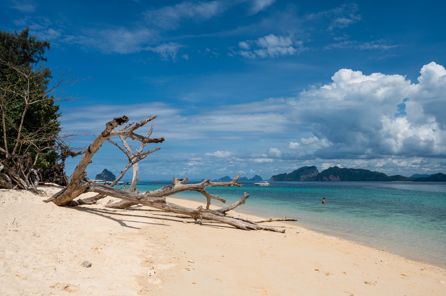 Koh Kradan (7) Treibgut am südlichen Strand von Koh Kradan