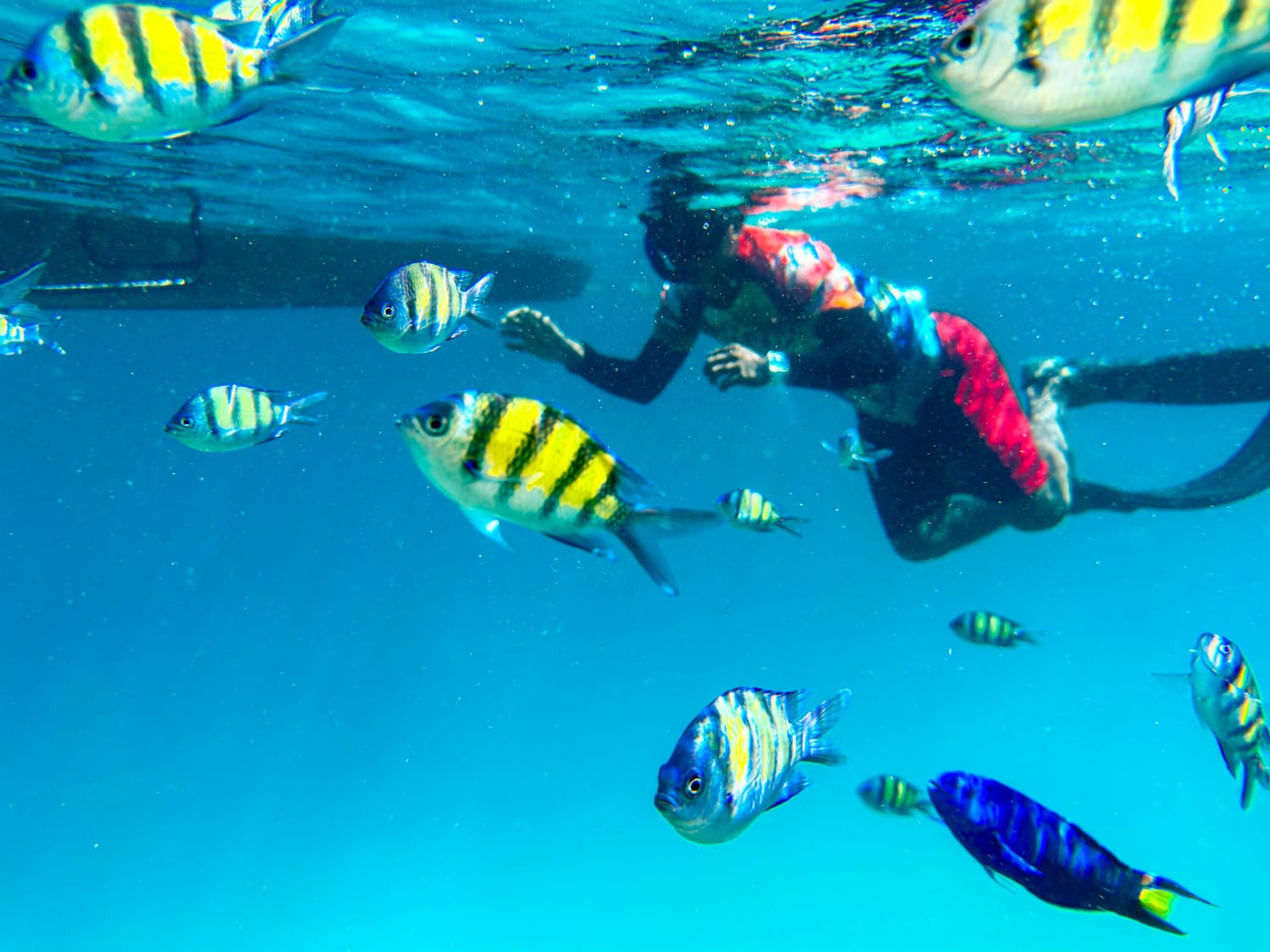 Schnorcheln rund um Koh Lanta