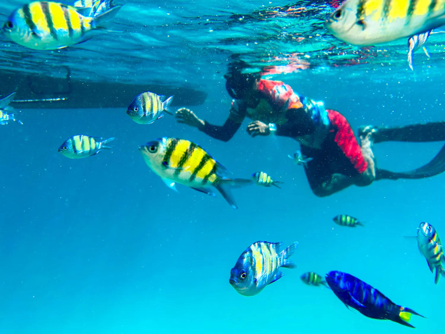 Schnorcheln rund um Koh Lanta