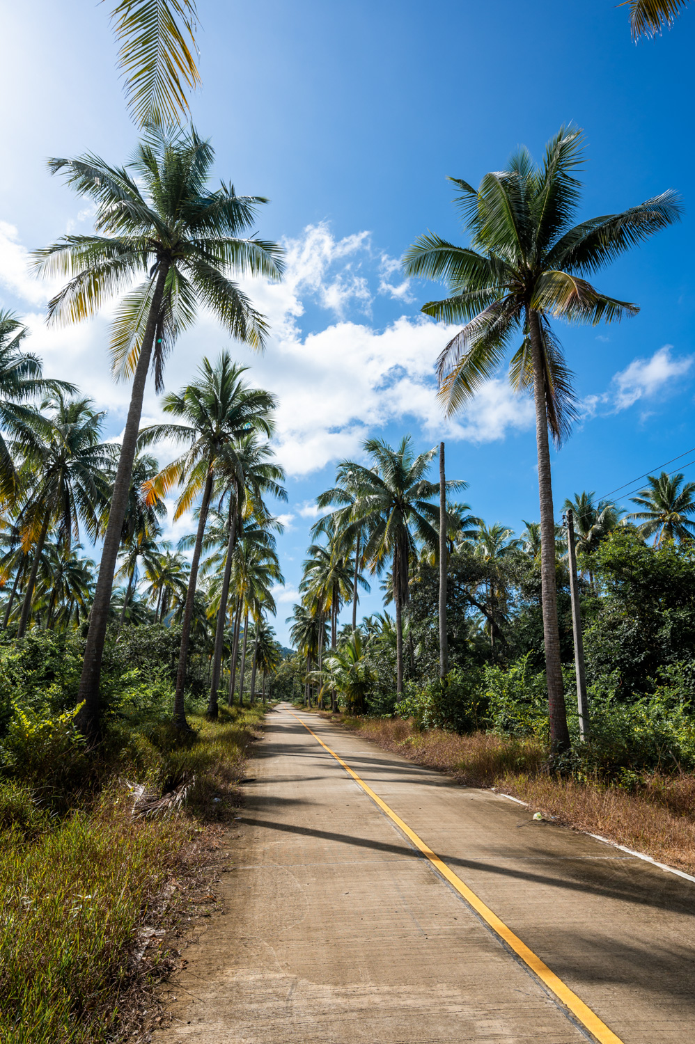 Koh Libong (9) Straße auf Koh Libong