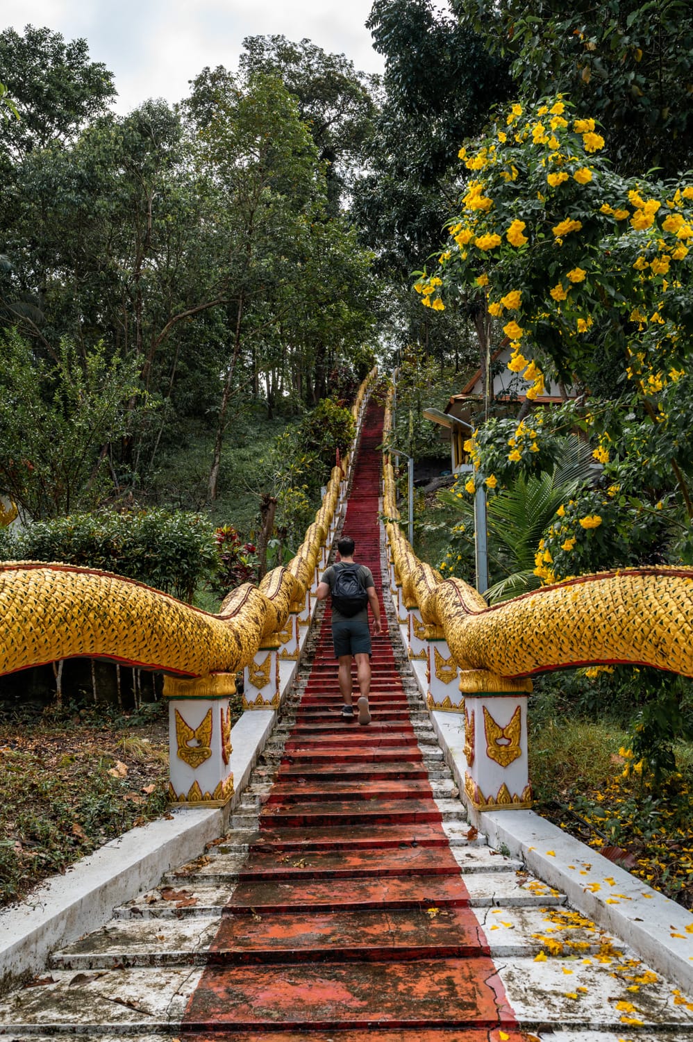 Koh Phangan Sehenswürdigkeiten (8) Nils Alexander Kemna auf der Naga-Treppe im Wat Maduea Wan auf Koh Phangan
