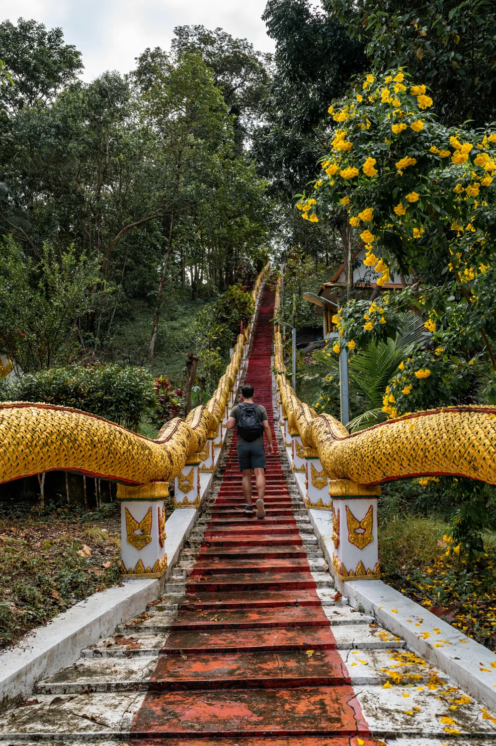 Nils Alexander Kemna auf der Naga-Treppe im Wat Maduea Wan auf Koh Phangan