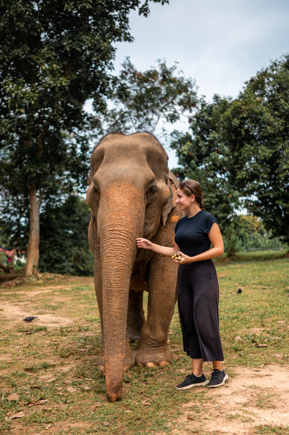 Koh Samui Elefanten Vanessa Mosch steht im Samui Elephant Sanctuary neben einem Elefanten