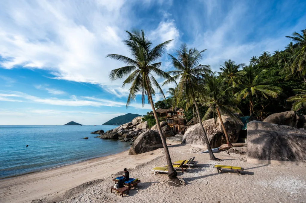 Palmen in der Jansom Bay auf Koh Tao