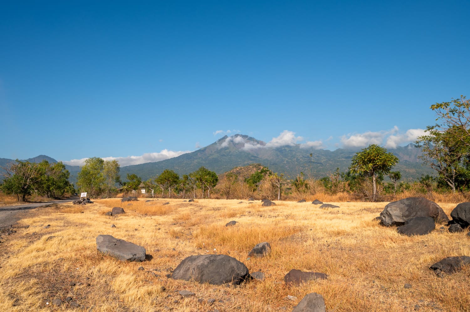 Lovina Bali (1) Savana Tianyar am Agung auf Bali