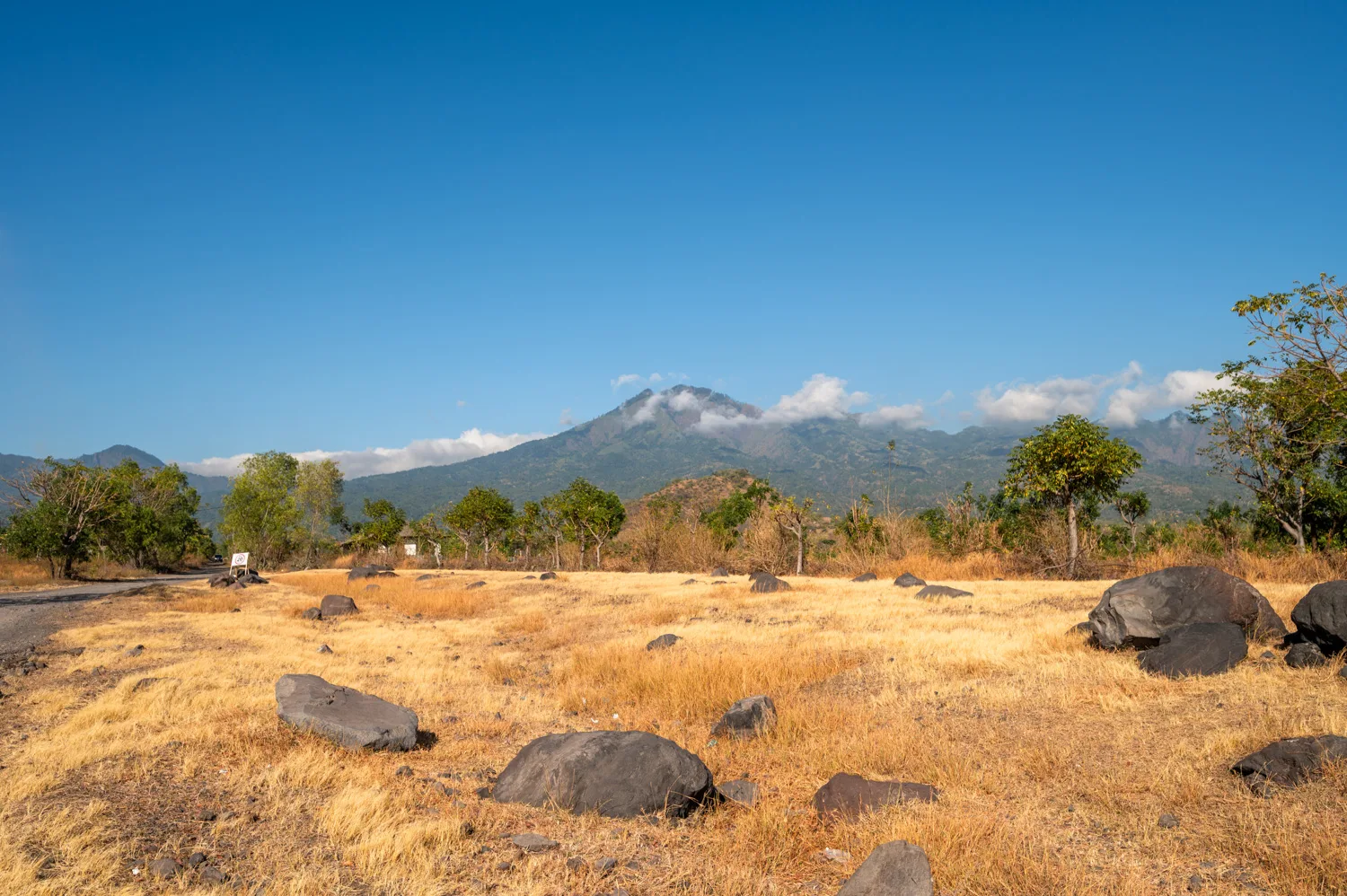 Savana Tianyar am Agung auf Bali