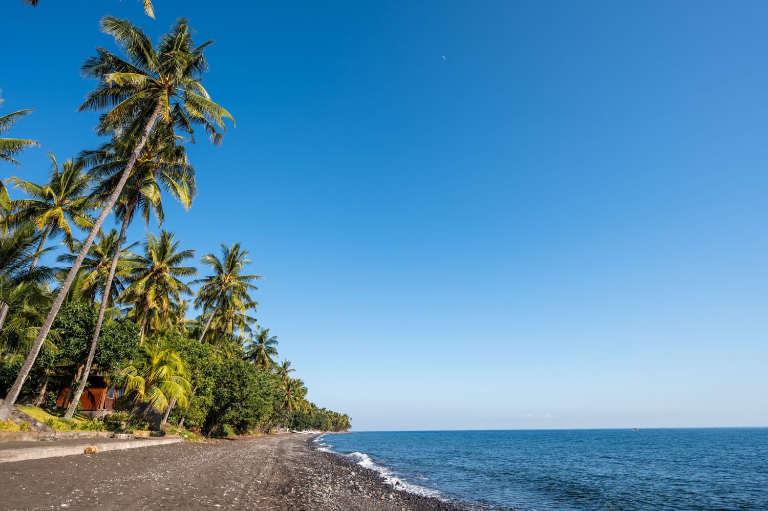 Lovina Bali (2) Schwarzer Sand und Palmen am Gretek Beach an Balis Nordküste
