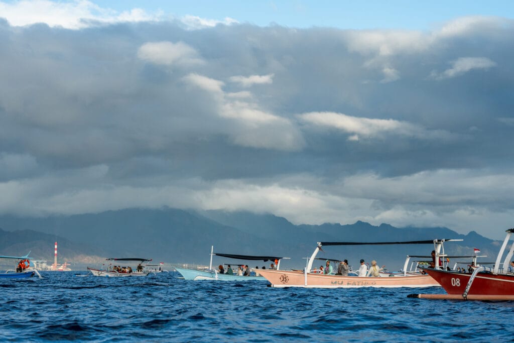Hunderte Boote suchen nach Delfinen in Lovina