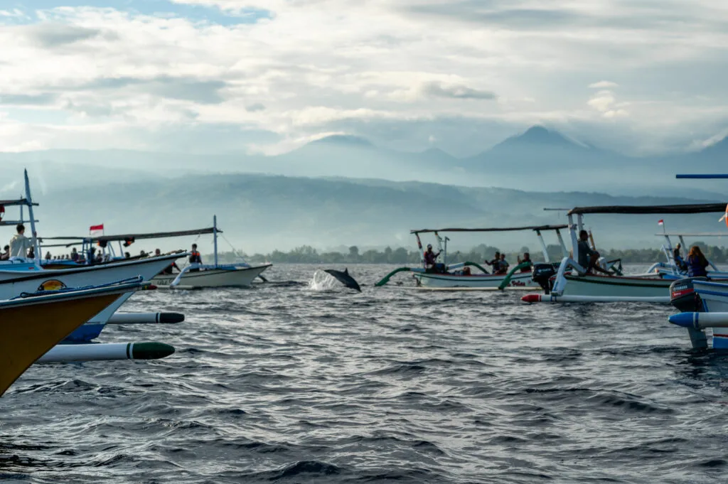 Delfintour in Lovina auf Bali