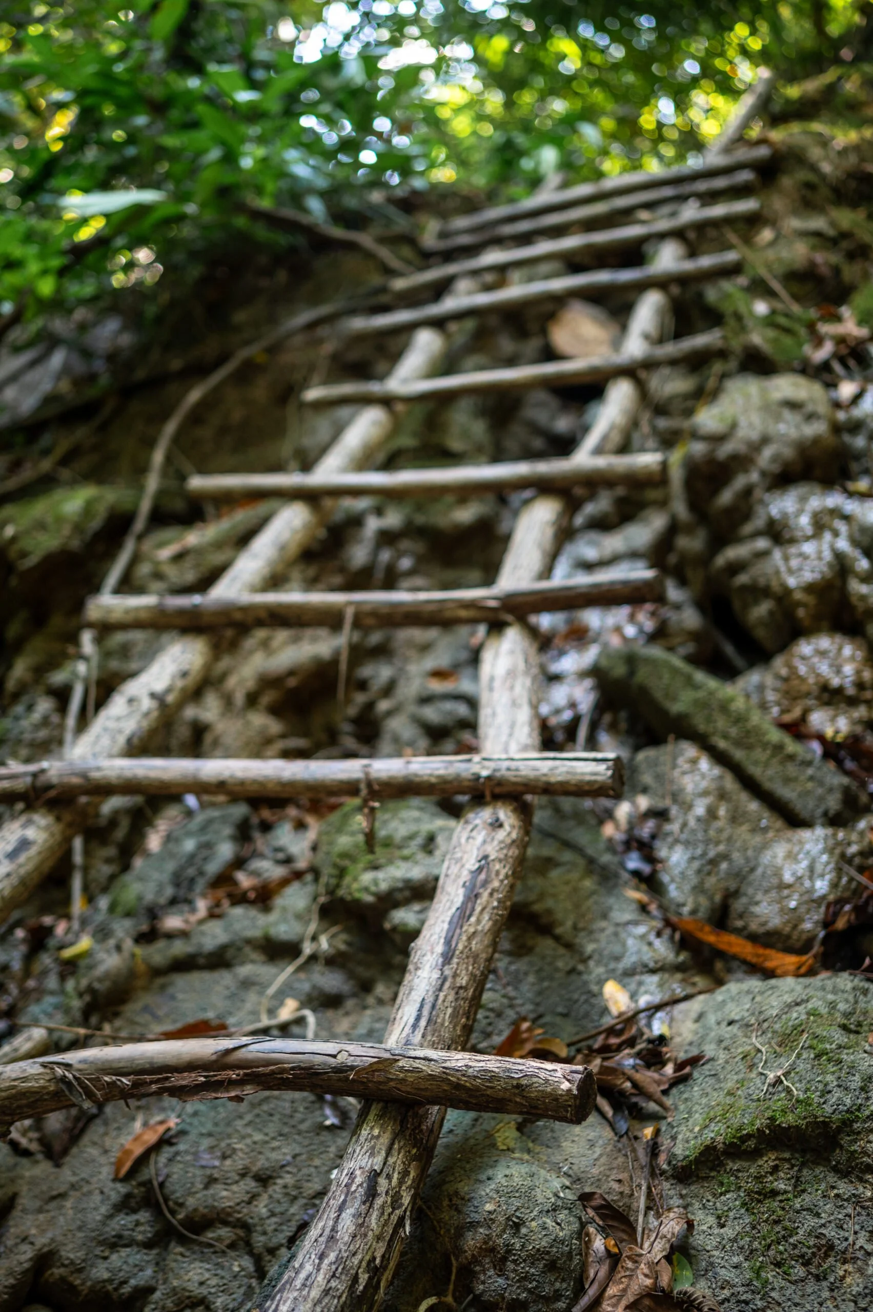 Leiter zum Eingang der Mai Kaew Cave auf Koh Lanta