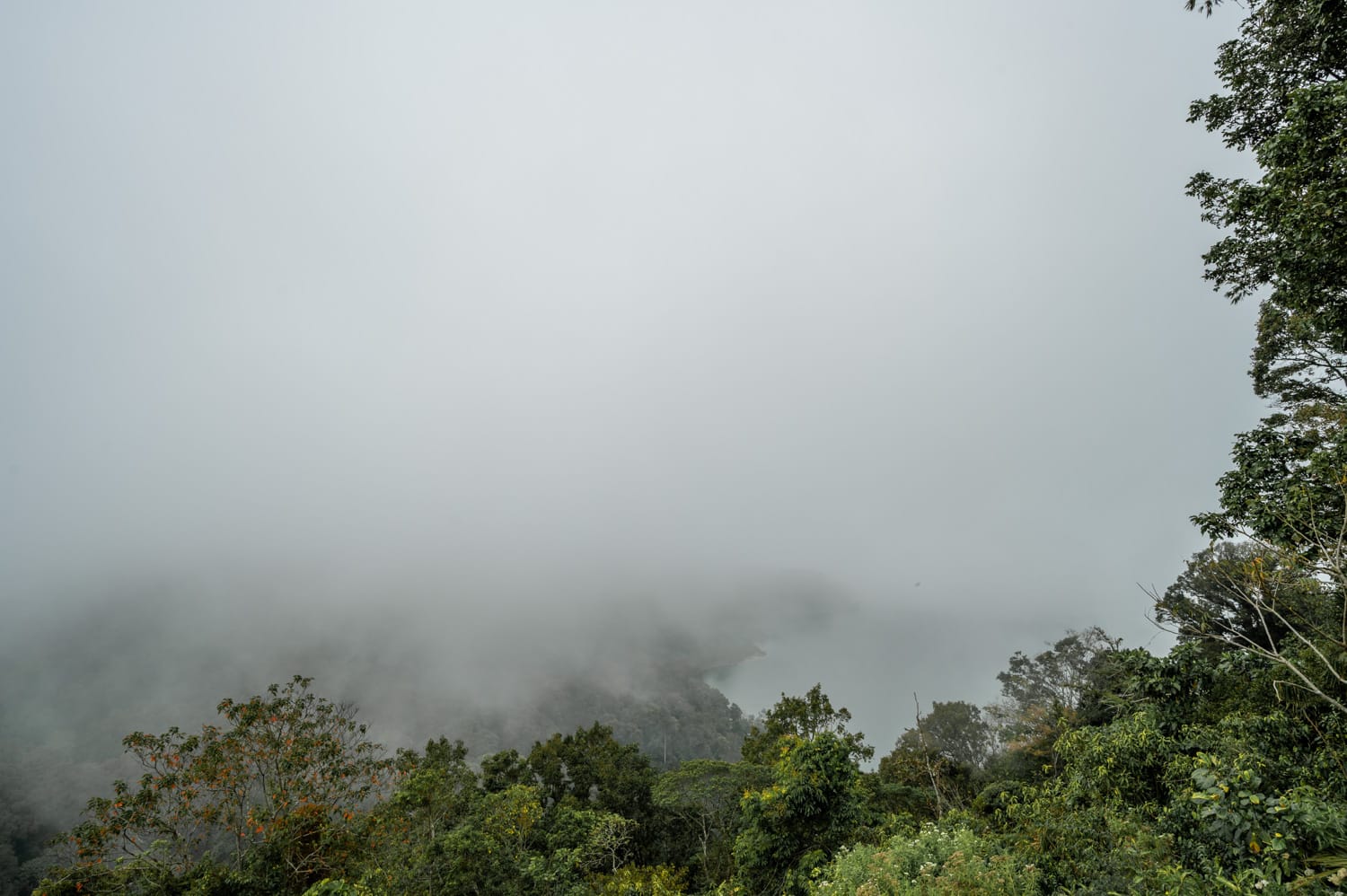 Dichter Nebel am Twin Lake Viewpoint in Munduk auf Bali