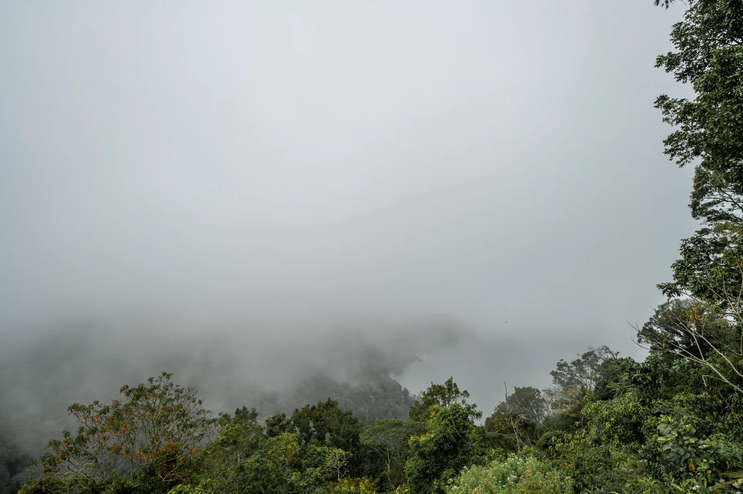 Nebel in Munduk Dichter Nebel am Twin Lake Viewpoint in Munduk auf Bali