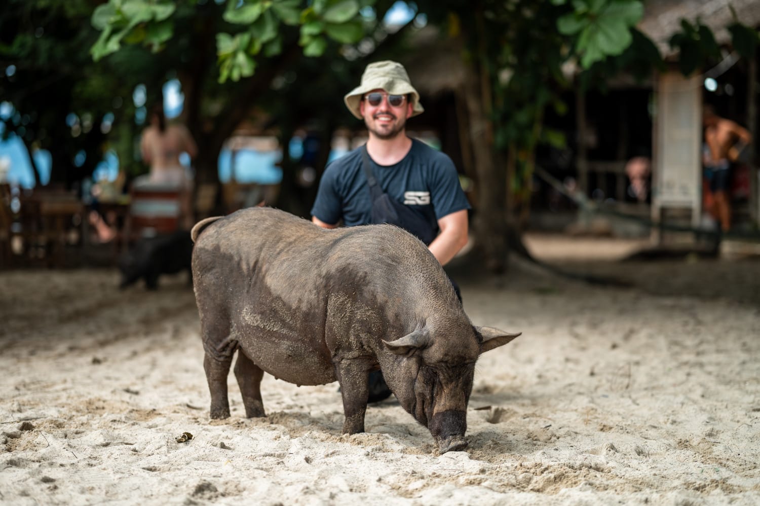 Nils Alexander Kemna Ko Mat Sum Schweineinsel Nils Alexander Kemna sitzt hinter einem Schwein auf einem Ausflug von Koh Samui nach Ko Mat Sum