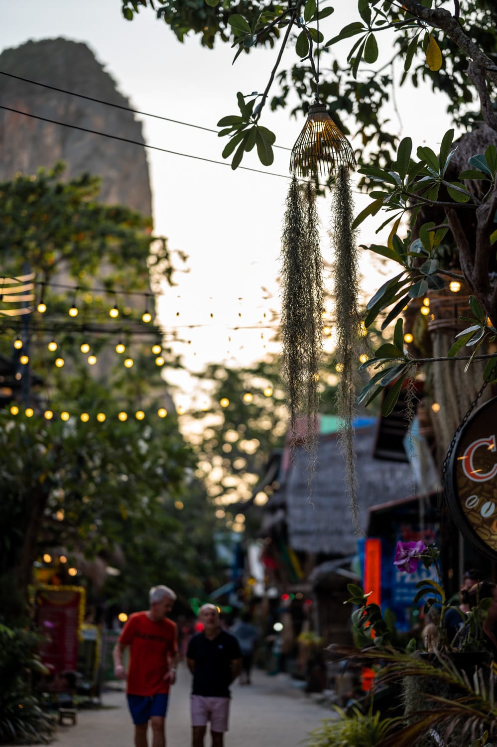 Railay Beach (24) Railay Walking Street