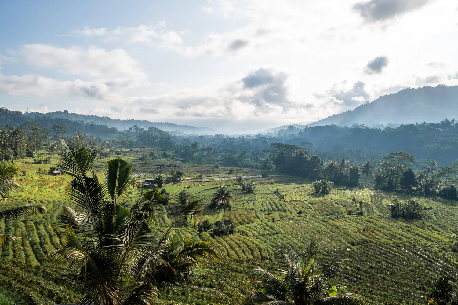 Sidemen Bali (13) Ausblick auf die Reisfelder von Sidemen