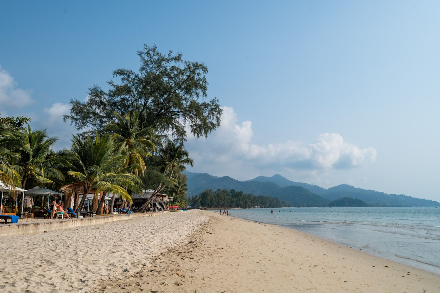 Thailand Rundreise 2 Wochen (10) Palmen am Chai Chet Beach im Norden von Klong Prao auf Koh Chang