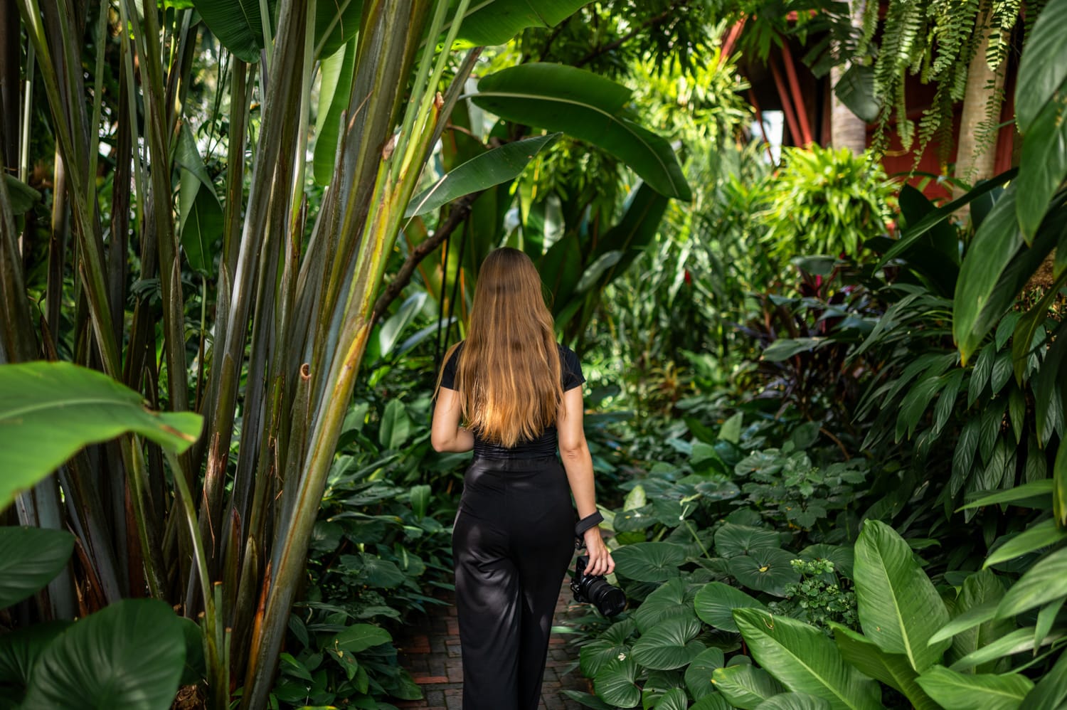 Thailand Rundreise 2 Wochen (26) Vanessa Mosch läuft durch den dicht bepflanzten Garten des Jim Thompson House in Bangkok