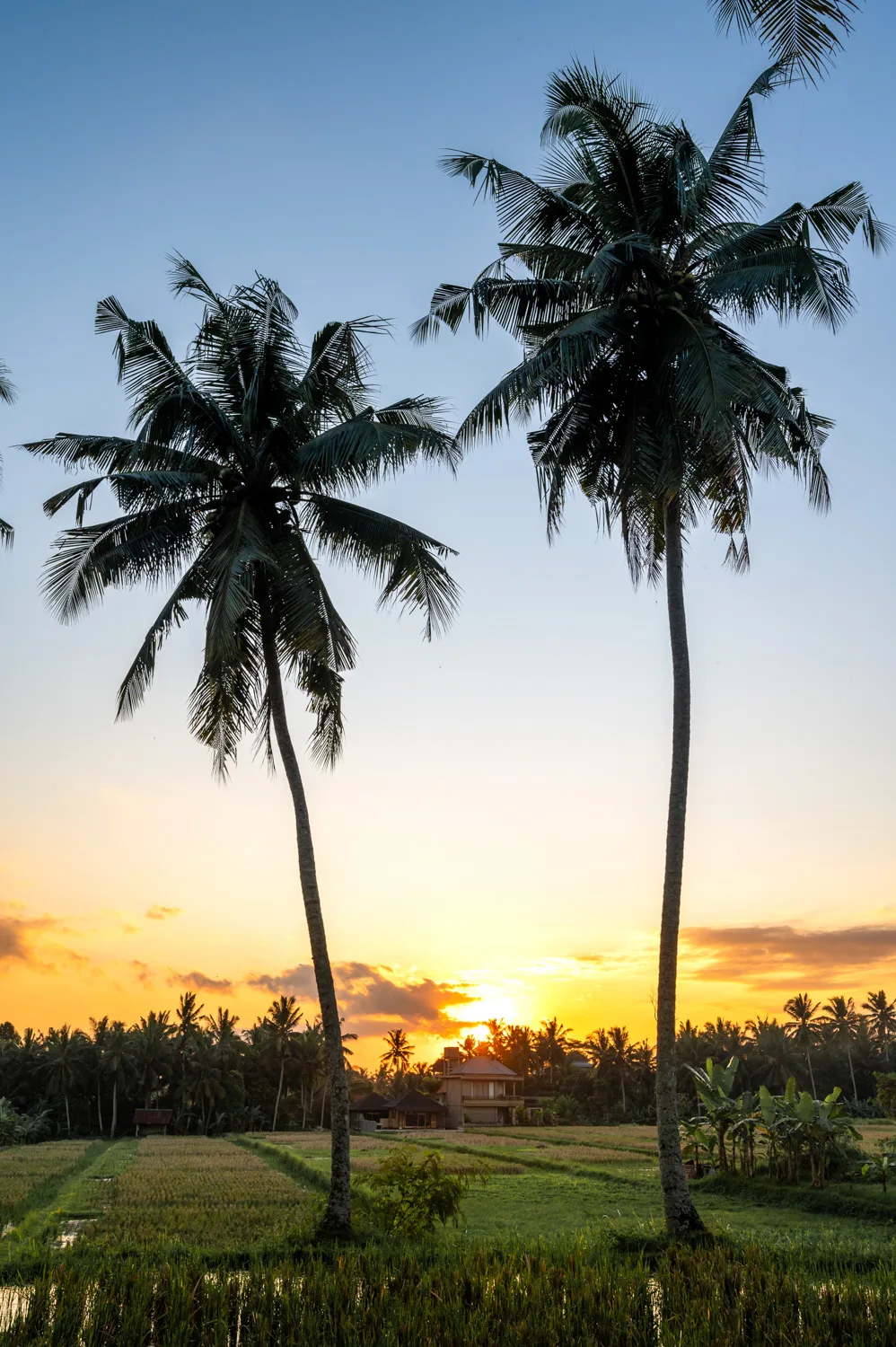 ubud