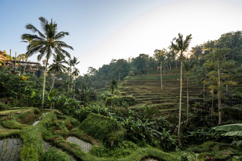 ubud