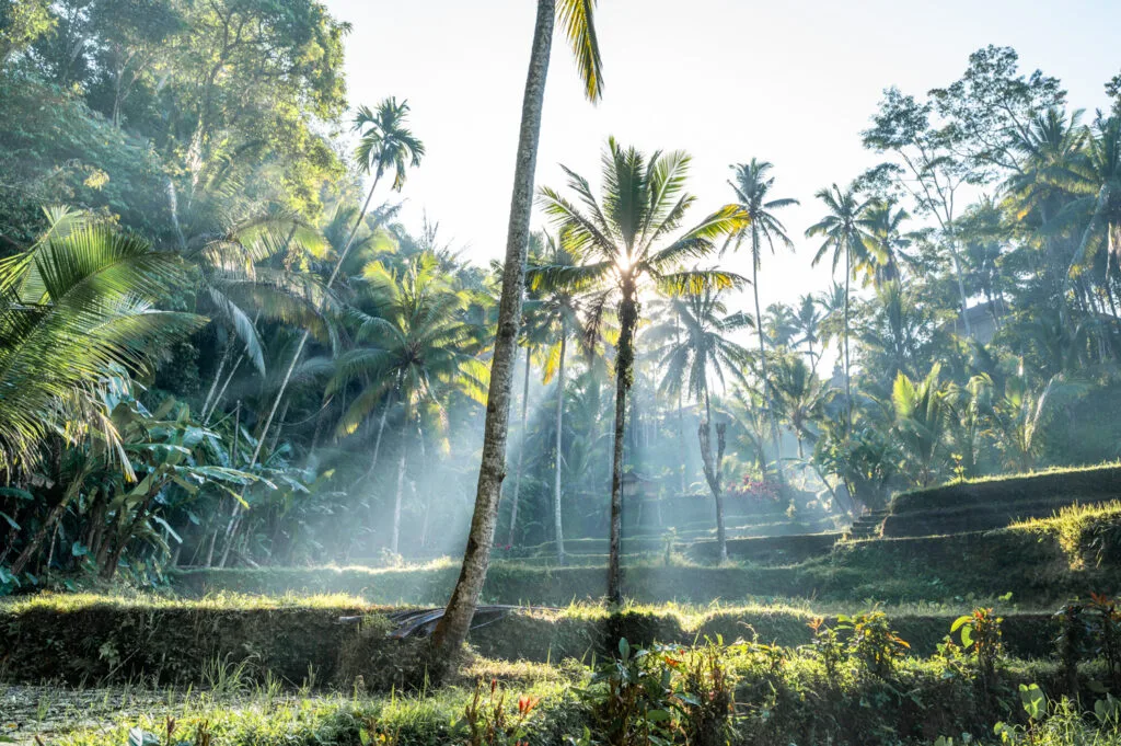 ubud