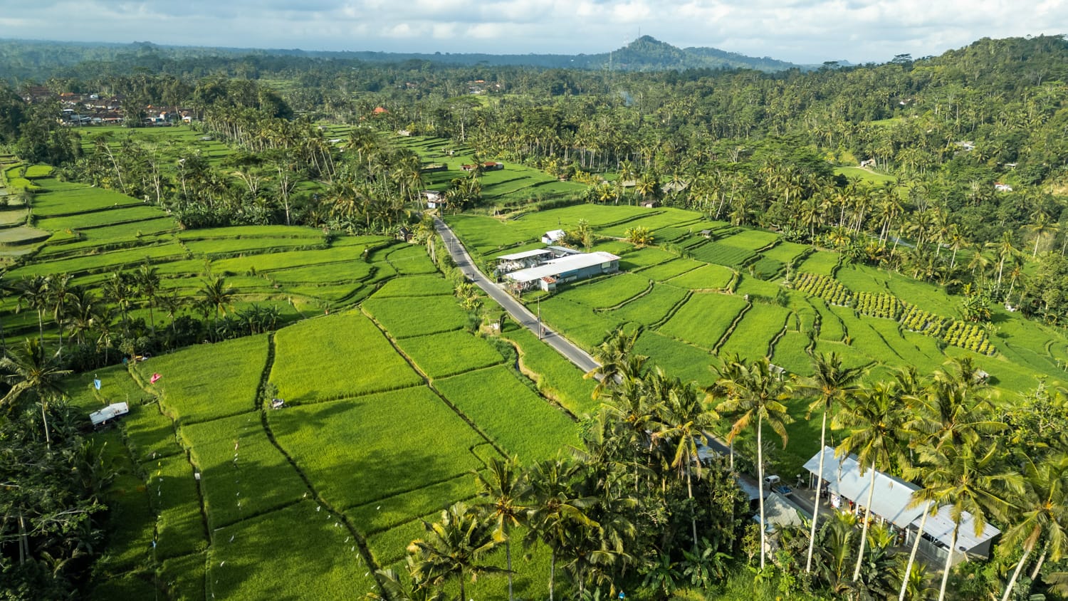 ubud